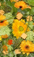 flor F como Fertilización 
