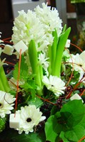 Landesgartenschau L como la palma de la lanza 