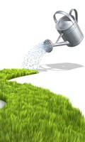 fertilización F como Fertilización 