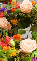 Floral F wie Farbdreiklang 