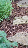 Rindenmulch R wie Rachenblumen 