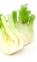 Knolle K wie Kerze 