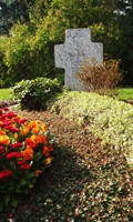 Grabbepflanzung G wie Gartenkultur 