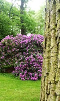 Garten G wie Gartenkultur 