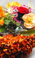 Blumengeschäft B wie Botanik 