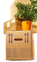 Verpackung V wie Volldünger 