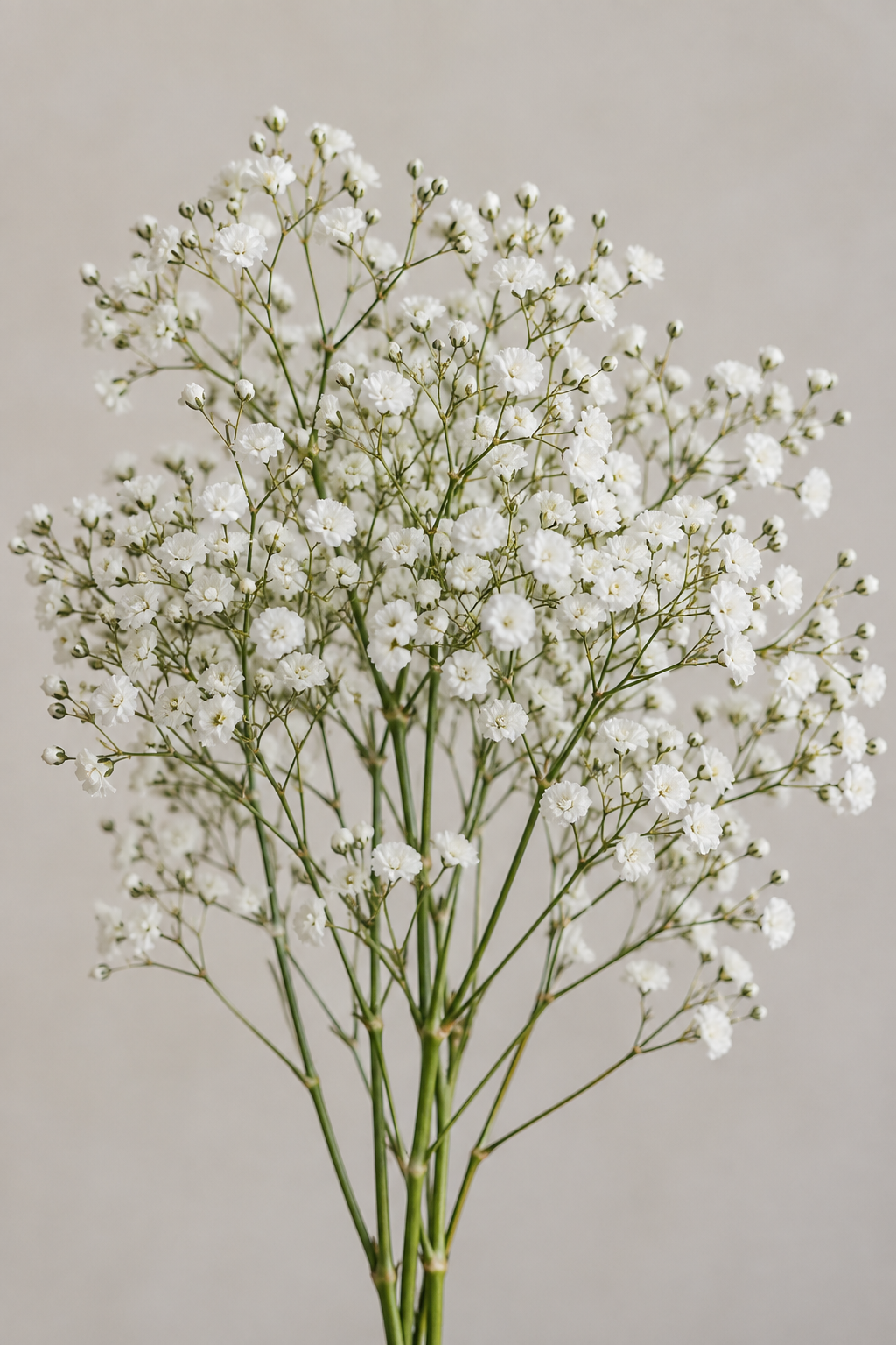 Füllblume D wie Dekoblumen