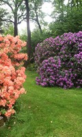 Bundesgartenschau B wie Botanik 