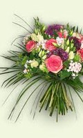 Blumenstrauß B wie Botanik 
