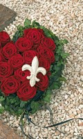 arrangement tombe A pour Amphore 