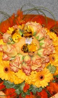 bouquet de fleurs B pour la botanique 