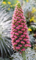 Jardin botanique J pour jardin 
