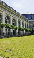 orangerie O comme l'orchidée 