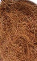 coir C pour Campanula 
