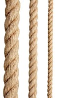 corde C pour Campanula 