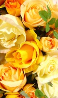 Streublumen S comme satin 