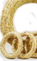 couronne Romains C pour Campanula 