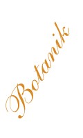 Noms botaniques N comme nutriments 