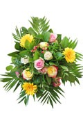 verdure V pour l'engrais complet 