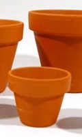un pot d'argile U pour umbel 