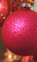boule de Noël B pour la botanique 