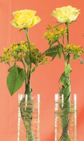 glass flowers G as gardening 