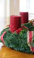 Advent wreath A like alpine flowers 