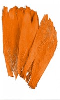 Palm fiber P like parallel technology 