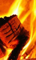 fire clay F like fall flowers 