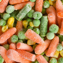 Gemüsearten wie Möhren, Sellerie und Kohlarten vertragen Temperaturen unter 0Crad Celsius