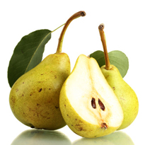 Birnen immer pflücken wenn sie noch hart sind