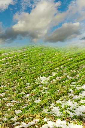 Schwere Lehmböden vom Frost aufbrechen lassen