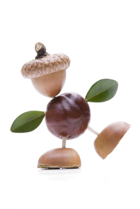 Ein Basteltag mit Kastanien, Haselnüssen und Eicheln