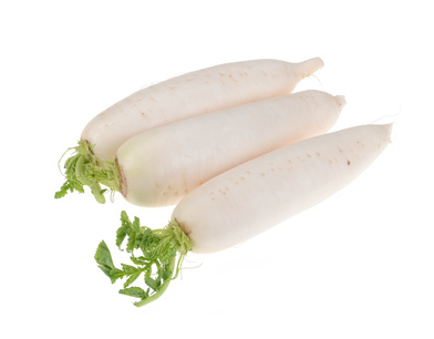 Winterrettich ernten und einlagern