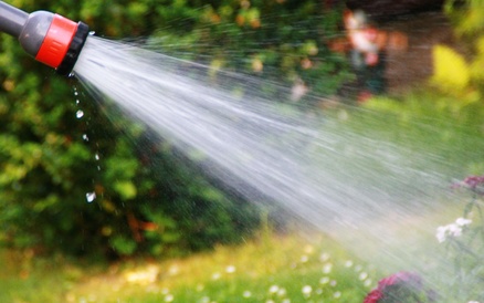 Im August ausreichend zu wässern