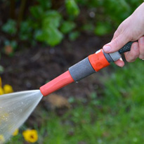 Rhododendren nicht mit kalkhaltigem Wasser giessen