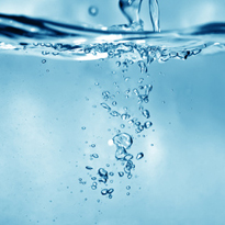 Ameisen mit Essigwasser vertreiben