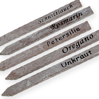 Auch mediterrane Kräuter leiden im Sommer