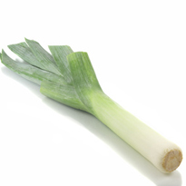 Jetzt beginnt die Porree-Ernte