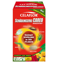 Dickmaulrüssler – ein ärgerliches Dauerthema