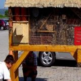 Insektenhotel Insekten