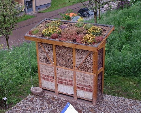 Insektenhotel Standort 