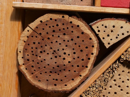 Insektenhotel die Nisthilfen