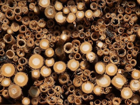 Insektenhotel die Nisthilfen
