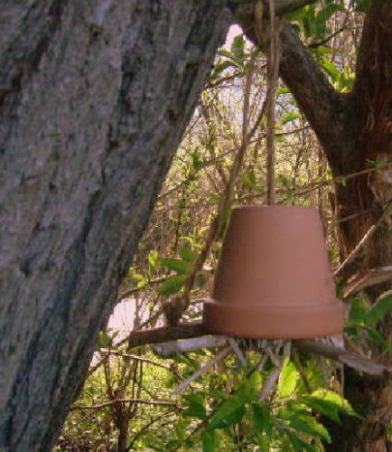 Insektenhotel die Nisthilfen