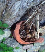 Insektenhotel die Nisthilfen