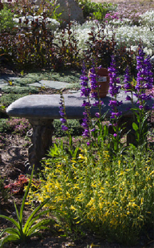 Staudenbeete anlegen