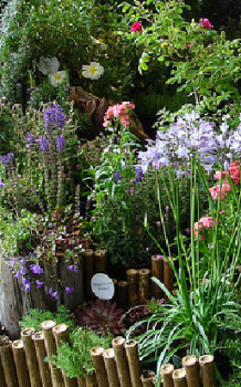 Staudenbeete anlegen