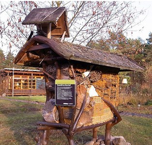 Insektenhotel was ist das? 