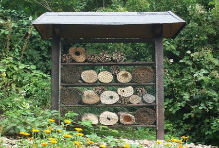 Insektenhotel was ist das?